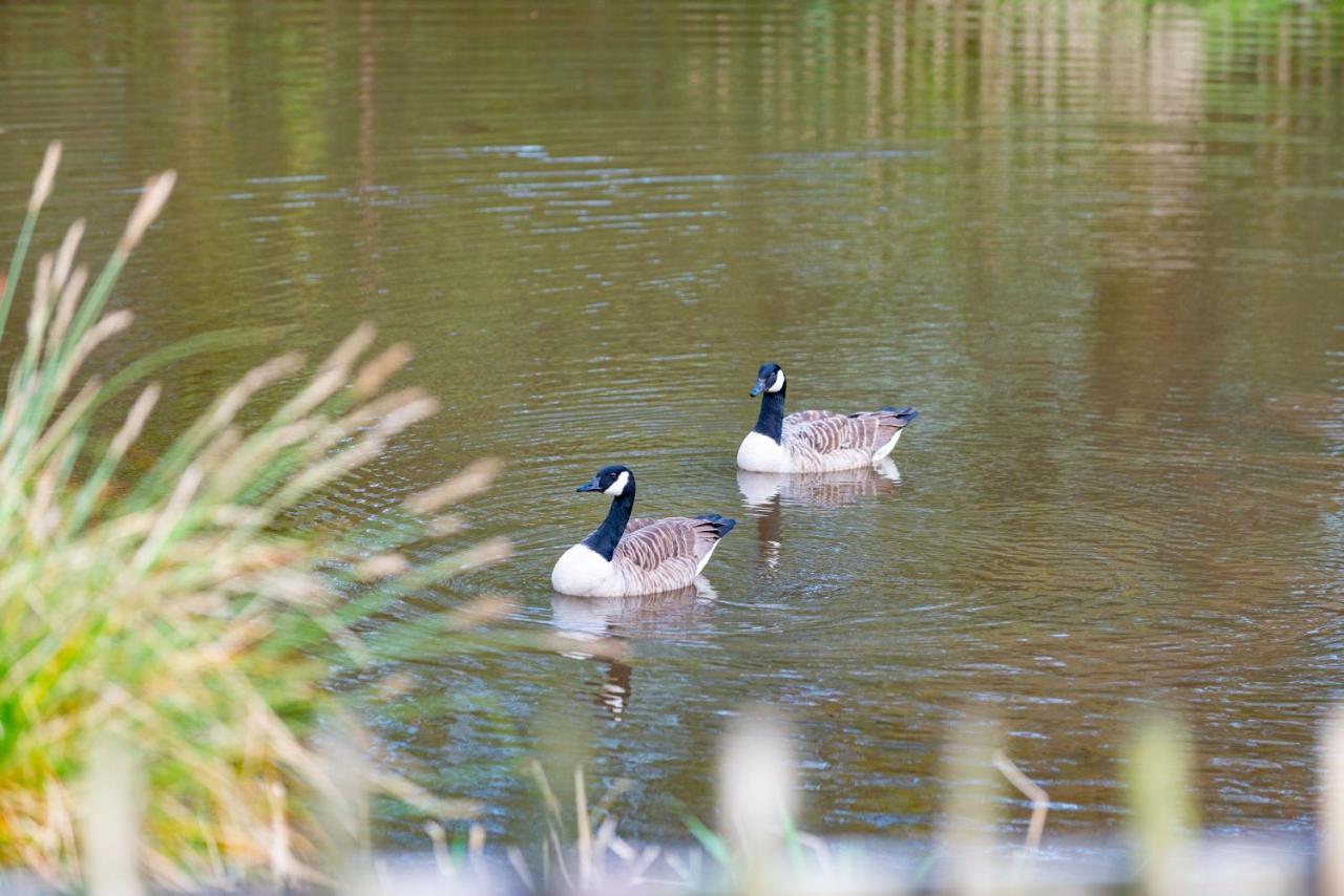 Beautiful Willow Lodge 67-4-6 Persons-Private Hot Tub-Pet Friendly-Tranquil Holiday Away From It All Yet Not Far To St Austell-The Holiday Home Has Two Bedrooms, Living & Dining Area, Equipped Kitchen -Decking-Al Fresco Dining-Fishing Lakes-Pet Frien Grampound Ngoại thất bức ảnh